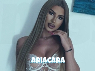 Ariacara