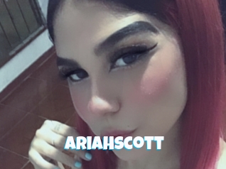 ariahscott Miss Gros Seins