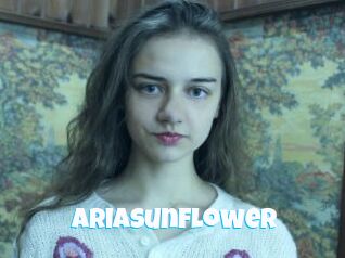 Ariasunflower