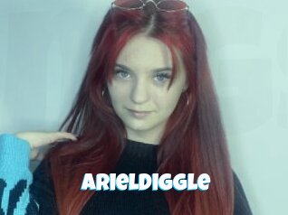 Arieldiggle