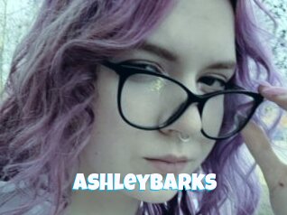Ashleybarks