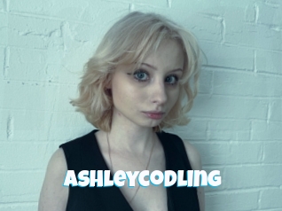 Ashleycodling