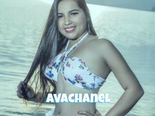 avachanel Miss Gros Seins