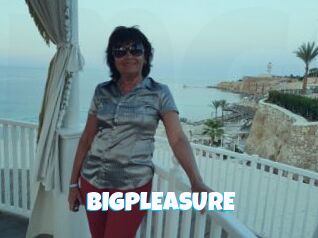 BIGPLEASURE
