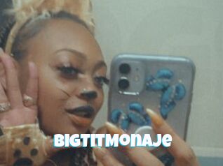 BigTitMonaje