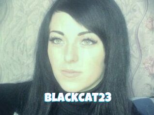 BlackCat23