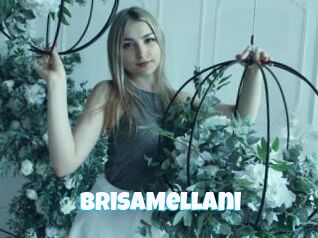 BrisaMellani