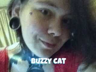 Buzzy_Cat