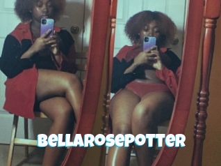 Bellarosepotter