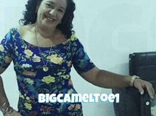 Bigcameltoe1