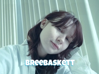 Breebaskett