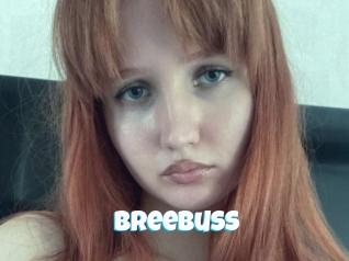 Breebuss
