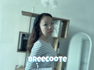 Breecoote