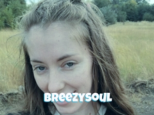 Breezysoul