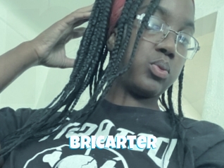 Bricarter