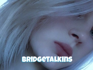 Bridgetalkins