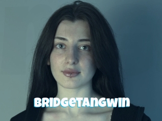Bridgetangwin