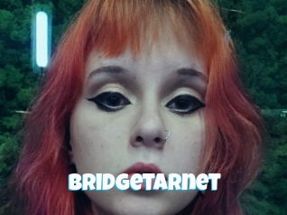 Bridgetarnet