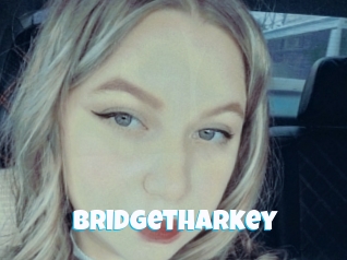 Bridgetharkey