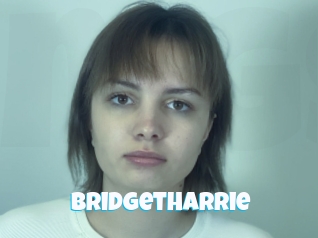 Bridgetharrie