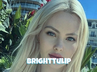 brighttulip Miss Gros Seins