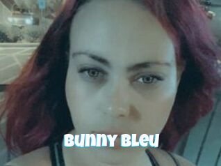 Bunny_bleu