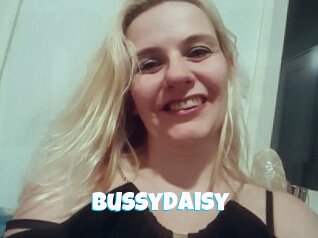Bussydaisy