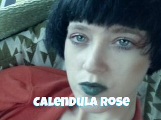 Calendula_Rose