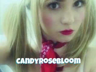 CandyRoseBloom