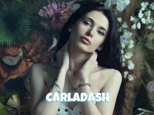 CarlaDash
