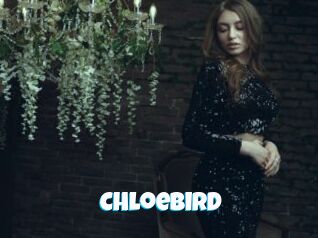 ChloeBird