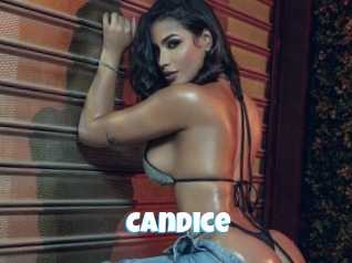 candice Miss Gros Seins