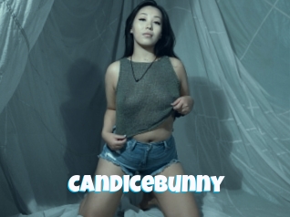 Candicebunny