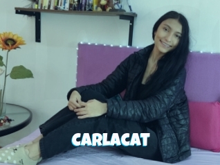 Carlacat