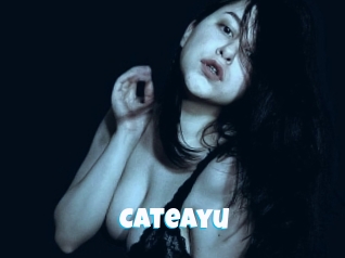 cateayu Miss Gros Seins