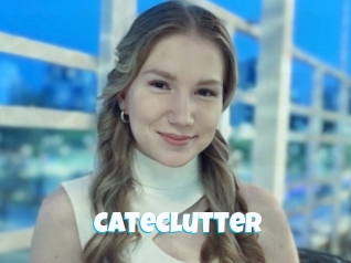 Cateclutter