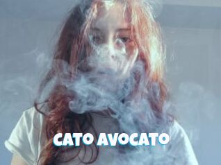 Cato_avocato