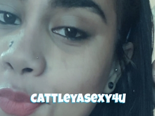 Cattleyasexy4u