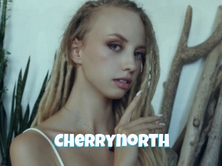 cherrynorth Miss Gros Seins