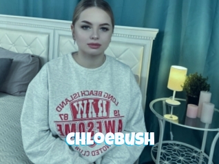 Chloebush