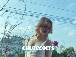 Chloecolts