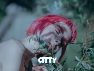 Citty