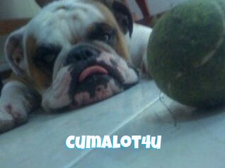 Cumalot4u