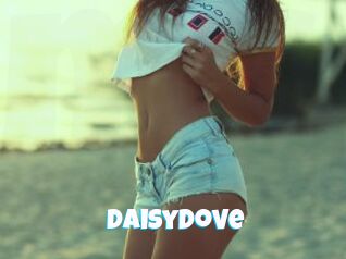 DaisyDove