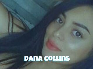 Dana_Collins