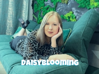 Daisyblooming