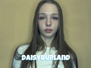 Daisyburland