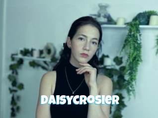 Daisycrosier