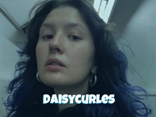 Daisycurles