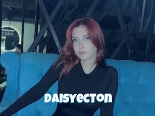 Daisyecton
